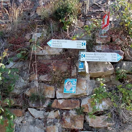 Johanna 3* Rüdesheim am Rhein